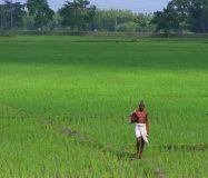 AR32 Kakinada కాకినాడ