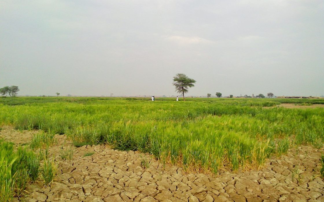 AR37 Nellore నెల్లూరు