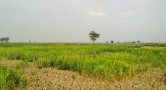 AR37 Nellore నెల్లూరు