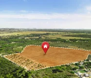 AR34 Ongole ఒంగోలు