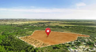 AR34 Ongole ఒంగోలు