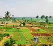AR33 Ongole ఒంగోలు