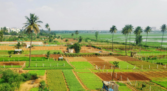 AR47 E. Godavari