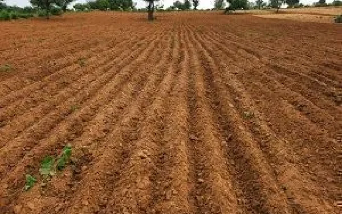 AR37 Nellore నెల్లూరు