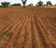 AR37 Nellore నెల్లూరు