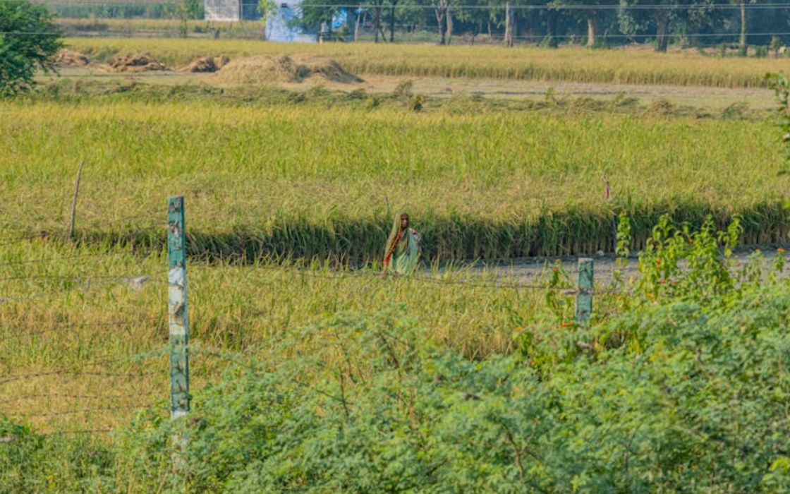 Land in E. Godavari