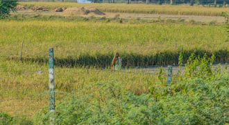 Land in E. Godavari