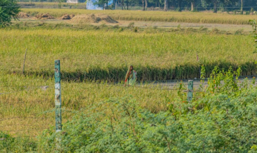 Land in E. Godavari