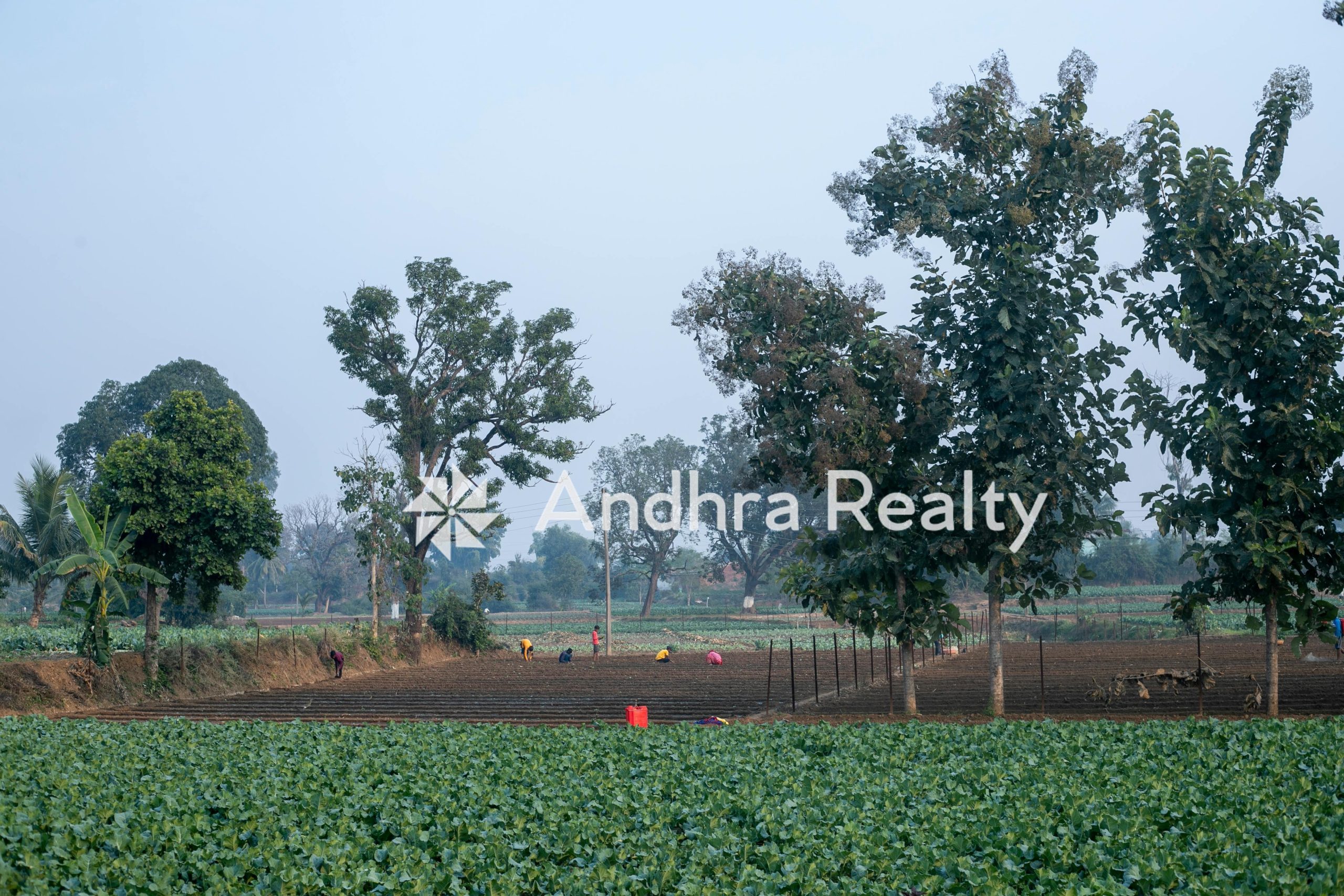 AR172 Rayalaseema land