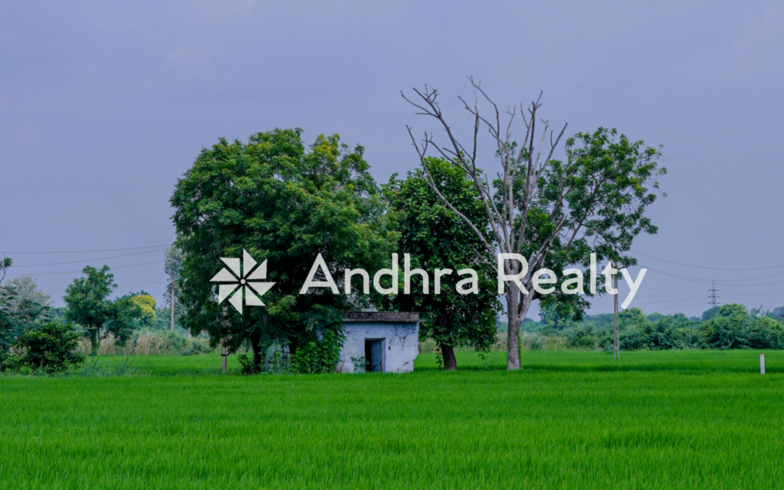 AR171 Rayalaseema ld