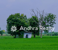 AR171 Rayalaseema ld