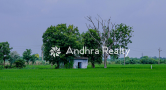 AR171 Rayalaseema ld