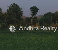 AR176 Srikakulam Land