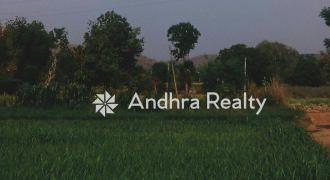 AR176 Srikakulam Land