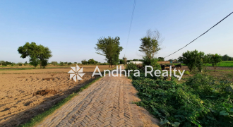 AR193 Amaravati Land