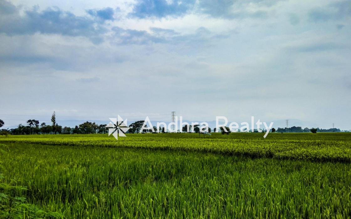 AR114 Chitoor Land