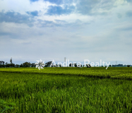 AR114 Chitoor Land