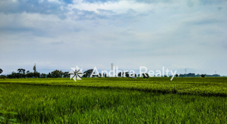 AR153 Prakasam Land