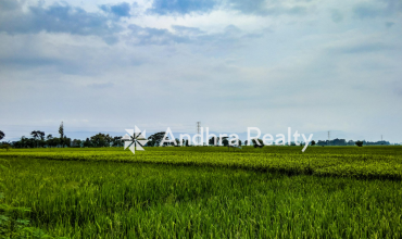 AR153 Prakasam Land