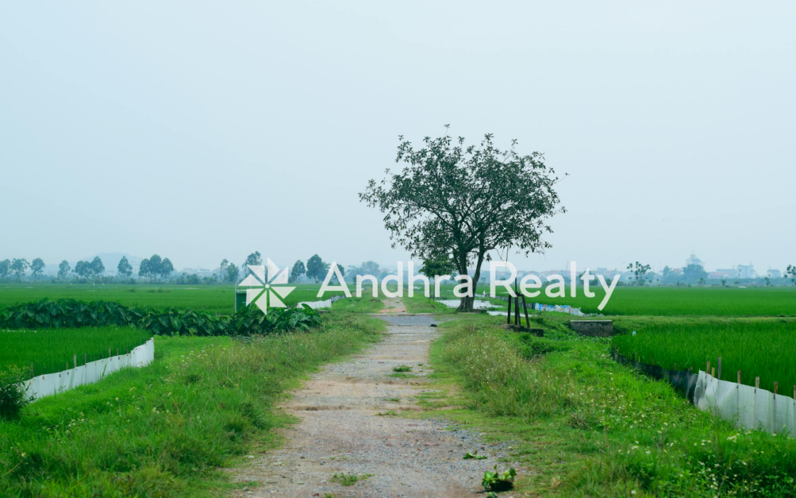 AR114 Chitoor Land