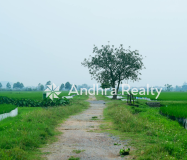 AR114 Chitoor Land