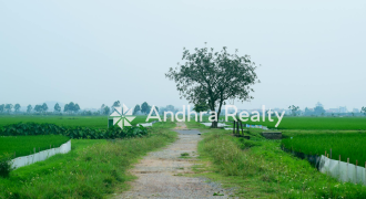 AR114 Chitoor Land