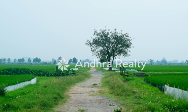 AR114 Chitoor Land
