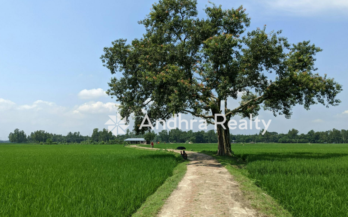 AR163 Guntur Land