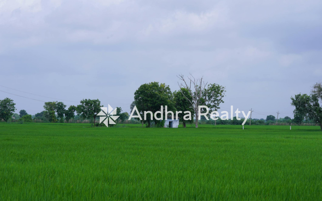 AR163 Guntur Land