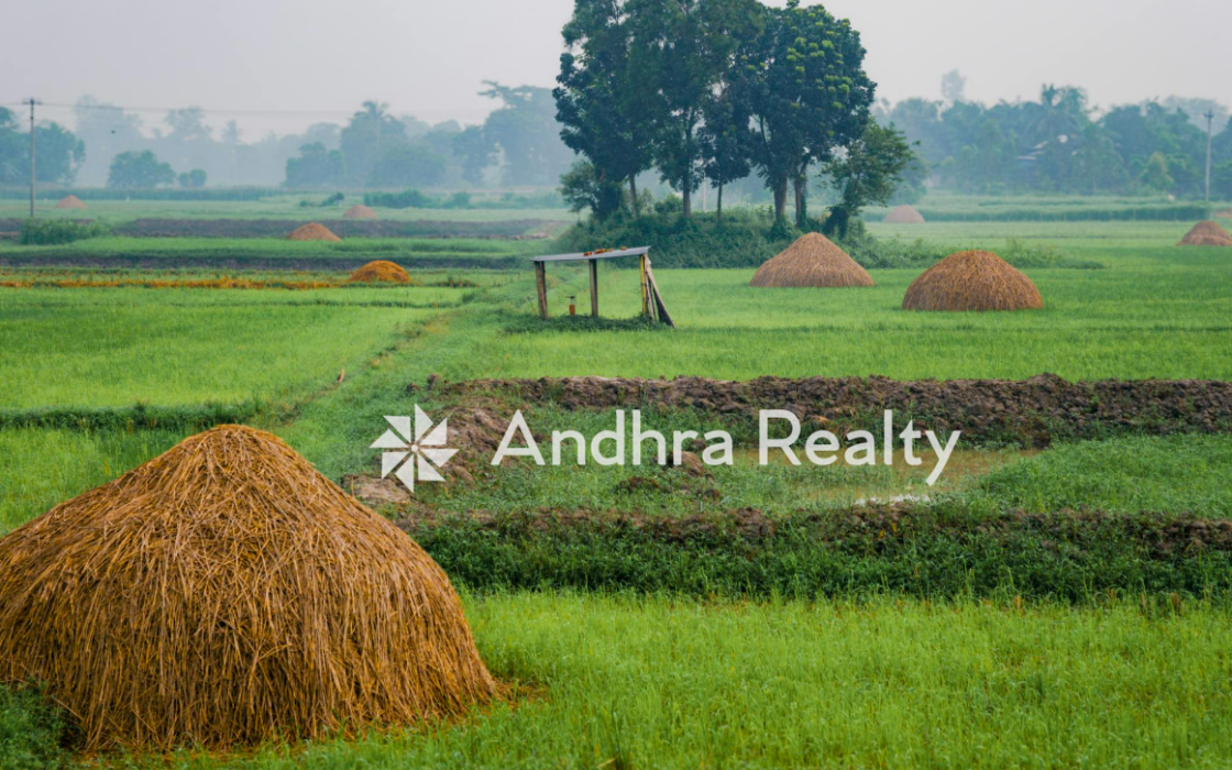 Land in Krishna