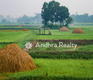 Land in Krishna