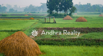 Land in Krishna