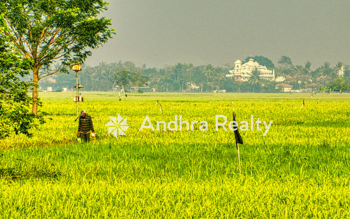 AR183 Nellore Land