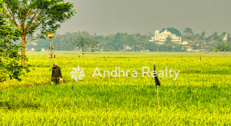 AR183 Nellore Land